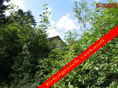 Altes Forsthaus in Steinhof / Berndorf, sucht neuen Besitzer