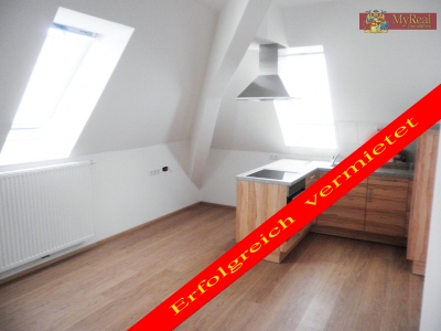 Drei - Zwei - Eins - Erstbezug mitten im Grünen