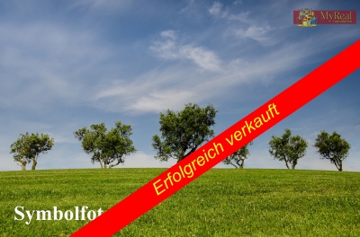 Großes Grundstück Randlage Wiener Neustadt