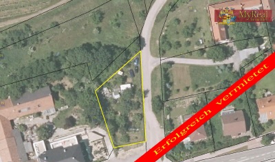 Großer Obstgarten in Leobersdorf zu verpachten