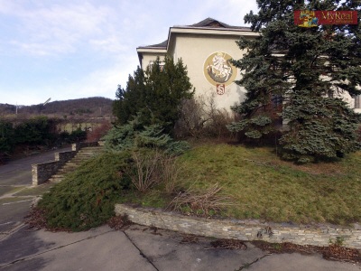Herrschaftliches Weingut im Burgenland