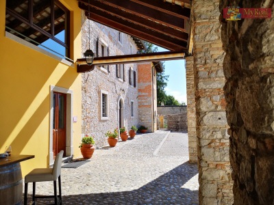 Weingut mit 39 Hektar Weinbaufläche