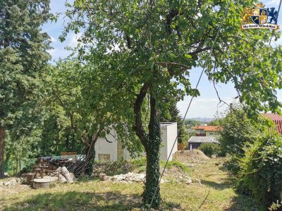 Panorama Grundstück/ Panorama Plot in Hietzing
